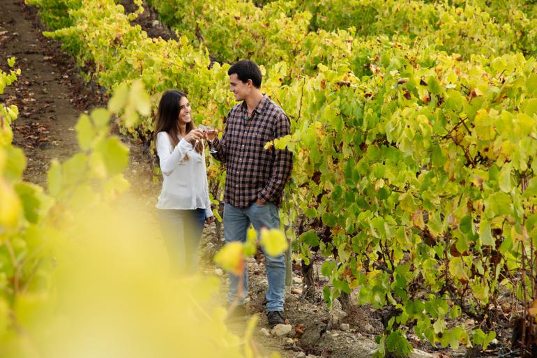 O Nosso Plano de Sustentabilidade e Futuro